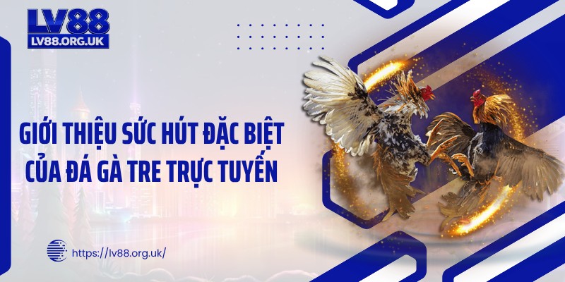 Giới thiệu sức hút đặc biệt của đá gà tre trực tuyến