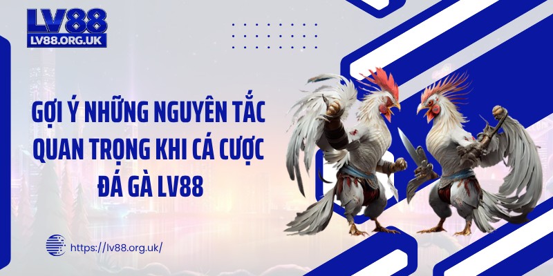 Gợi ý những nguyên tắc quan trọng khi cá cược đá gà LV88